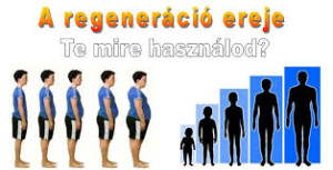 terhelés regeneráció nyitókép